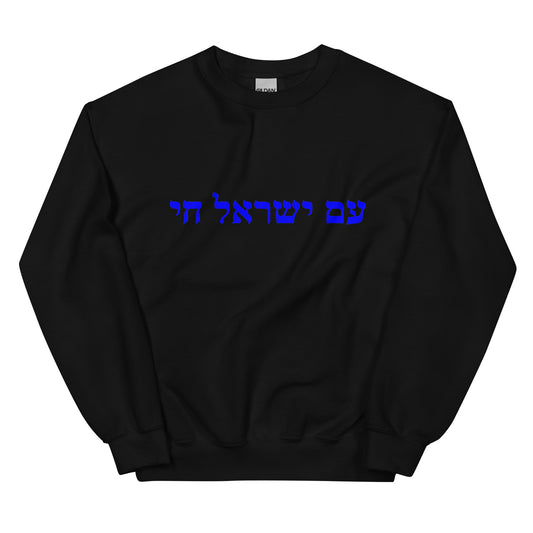 Am Israel Chai Sweater Sweatshirt - Show Your Support For Israel - The people of Israel live