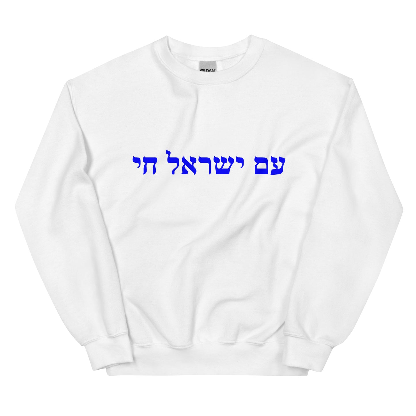 Am Israel Chai Sweater Sweatshirt - Show Your Support For Israel - The people of Israel live